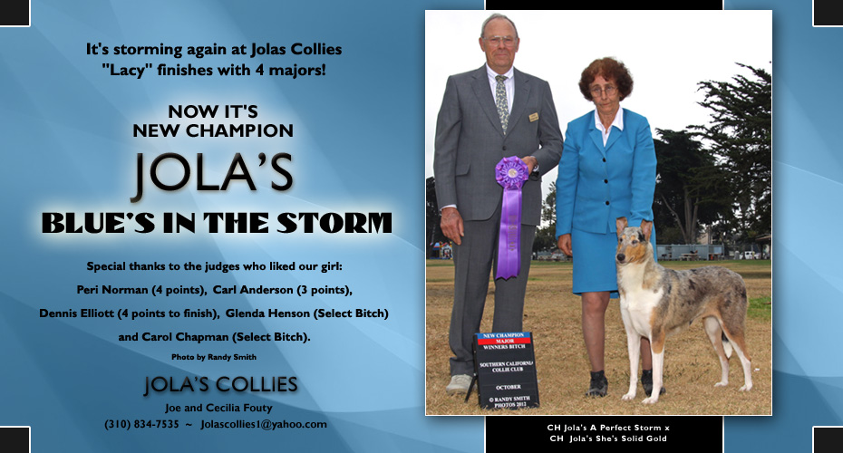 Jola's Collies -- CH Jola's She's Solid Gold