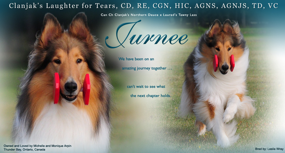 Jurnee Collies -- Clanjak's Laughter for Tears CD RE CGN HIC AGNS AGNJS TD VC