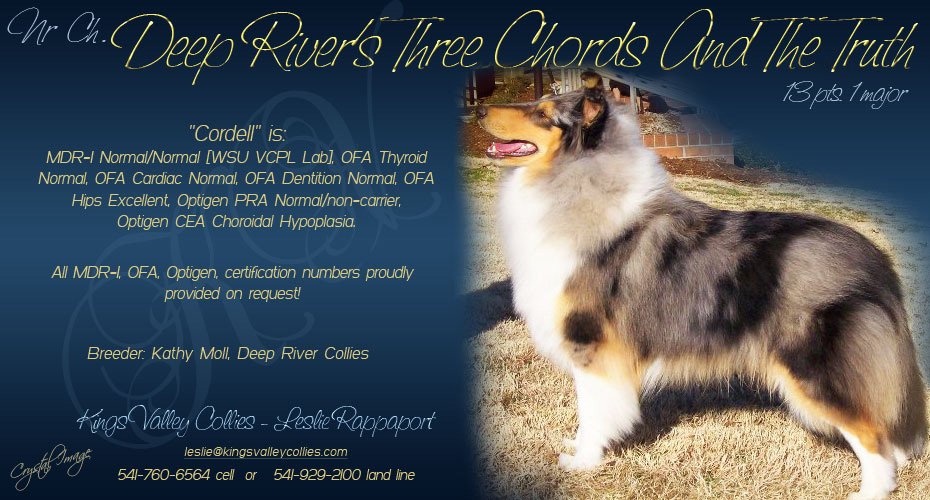 Kings Valley Collies -- Deep River's Three Chords And The Truth