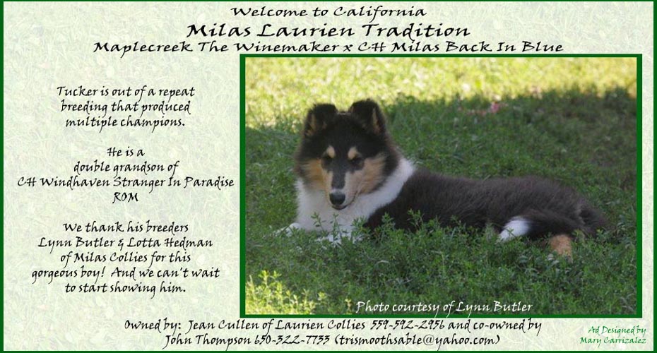 Laurien Collies -- Milas Laurien Tradition