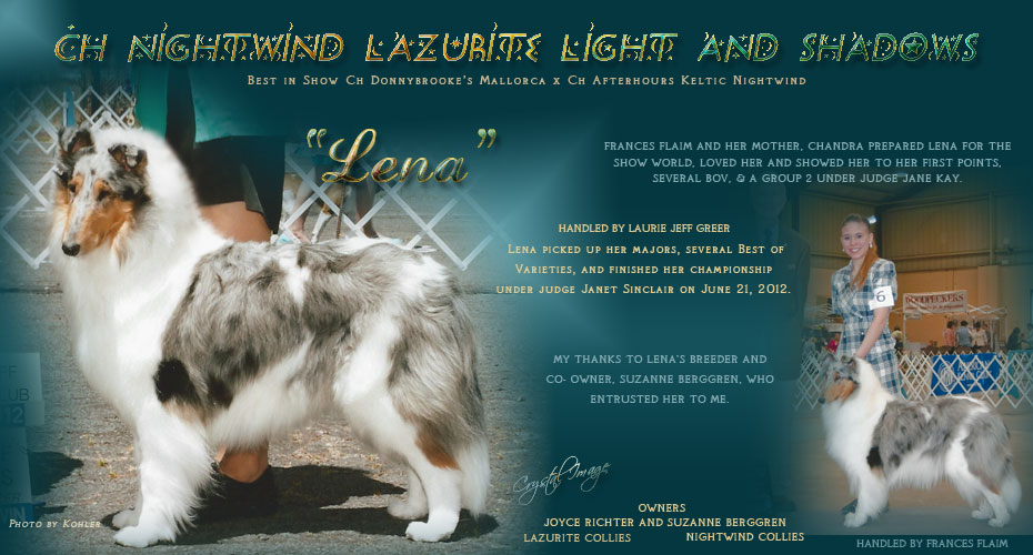 Lazurite Collies / Nightwind Collies -- CH Nightwind Lazurite Light And Shadows