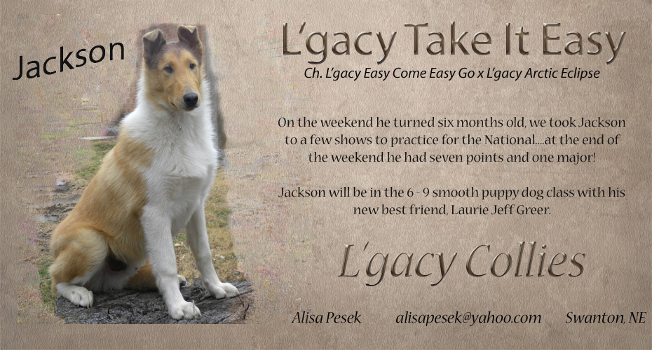 L'gacy Collies -- L'gacy Take It Easy