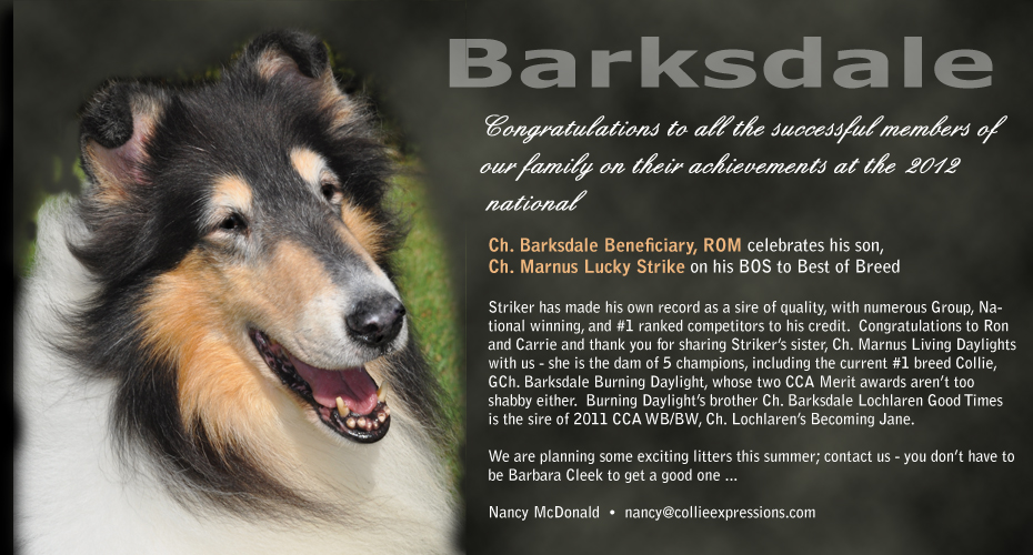 Barksdale Collies -- CH Barksdale Beneficiary, ROM