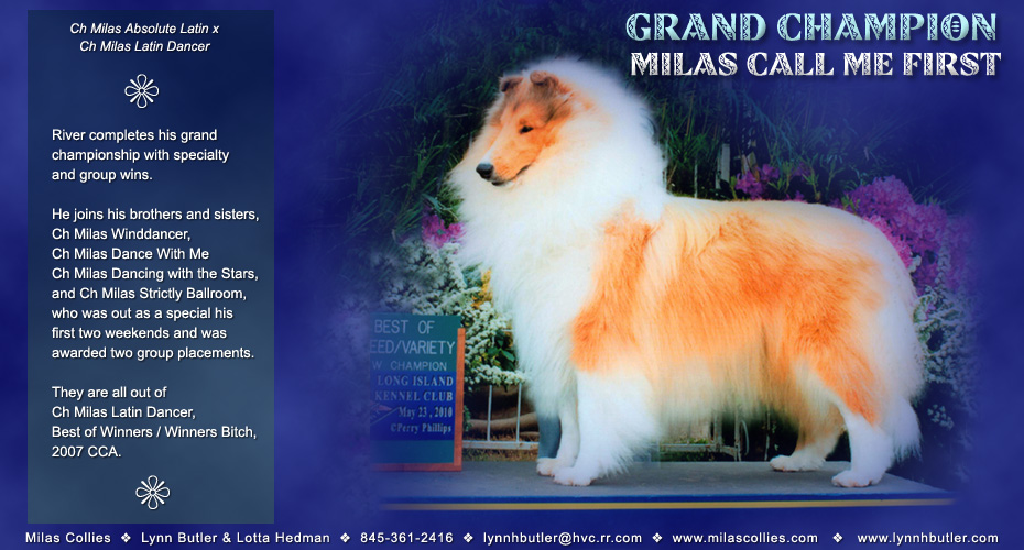 Milas Collies -- GCH Milas Call Me First