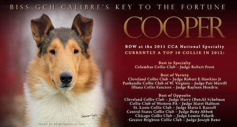 Calibre Collies -- GCH Calibre's Key To The Fortune