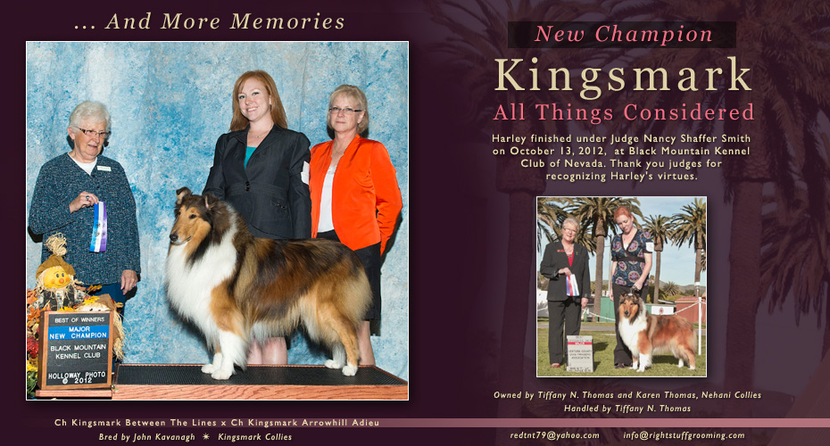 Nehani Collies -- CH Kingsmark All Things Considered