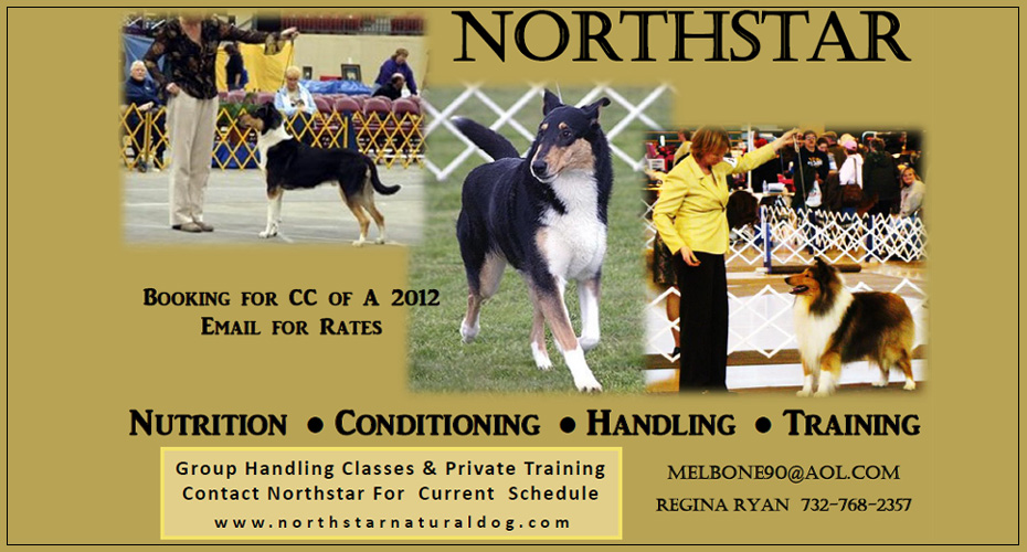 Northstar -- Group Handling Classes and Private Training
