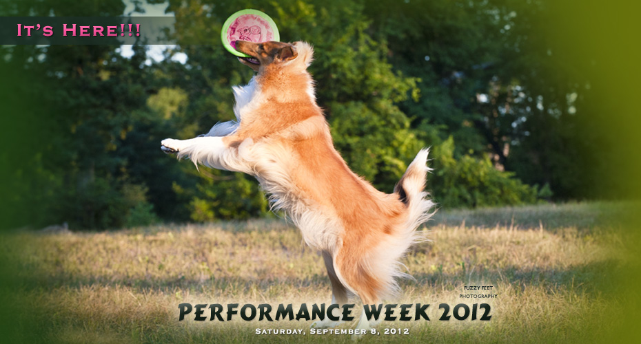 Collies Online -- Performance Week 2012