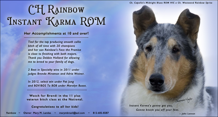 Rainbow Collies -- CH Rainbow Instant Karma ROM