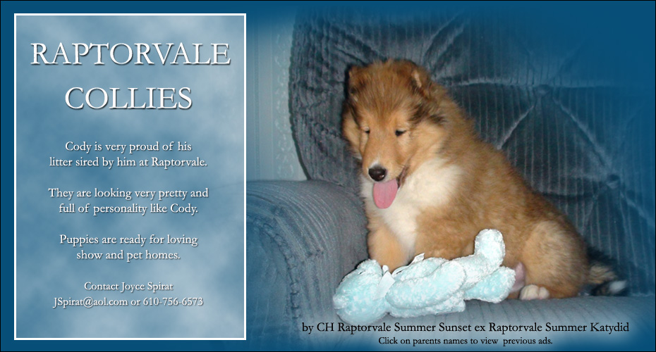 Raptorvale Collies 