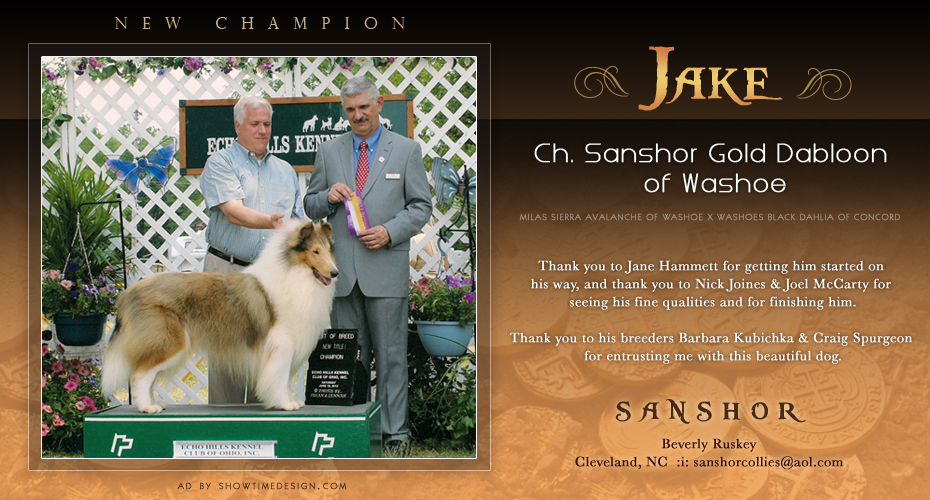Sanshor Collies -- CH Sanshor Gold Dabloon Of Washoe