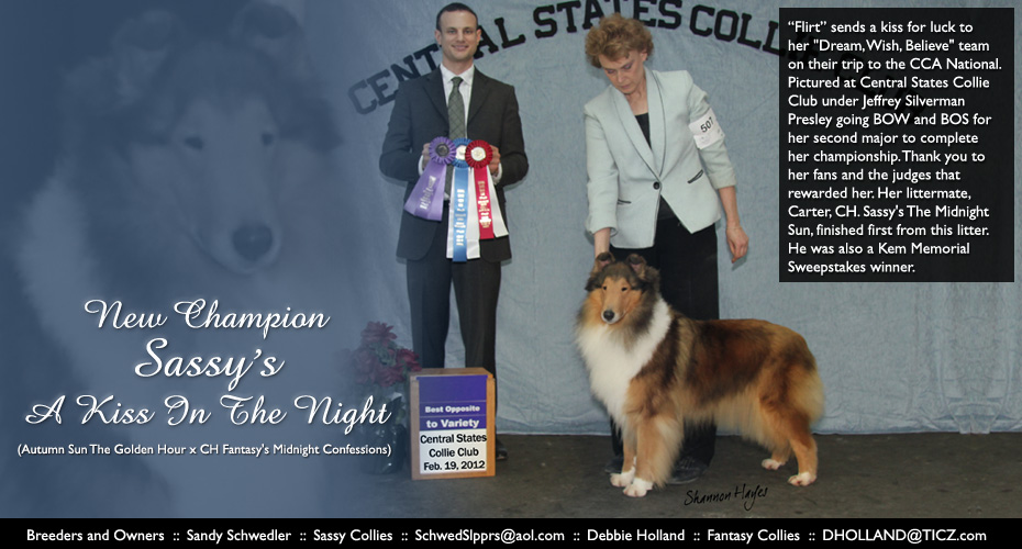 Sassy Collies and Fantasy Collies -- CH Sassy's A Kiss In The Night