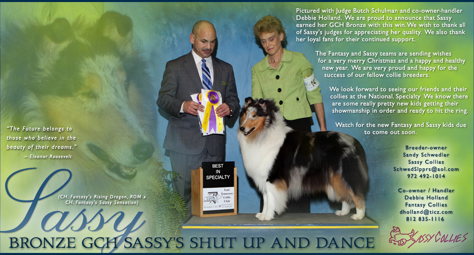 Sassy Collies and Fantasy Collies --  Bronze  GCH Sassy's Shut Up And Dance