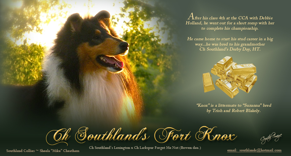 Southland Collies -- CH Southland Fort Knox