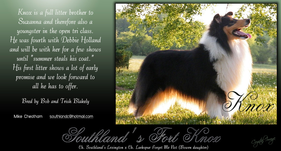 Southland Collies -- Southland's Fort Knox