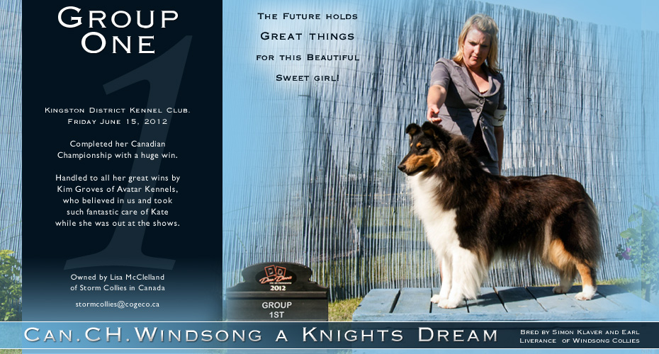 Storm Collies -- CAN CH Windsong A Knights Dream