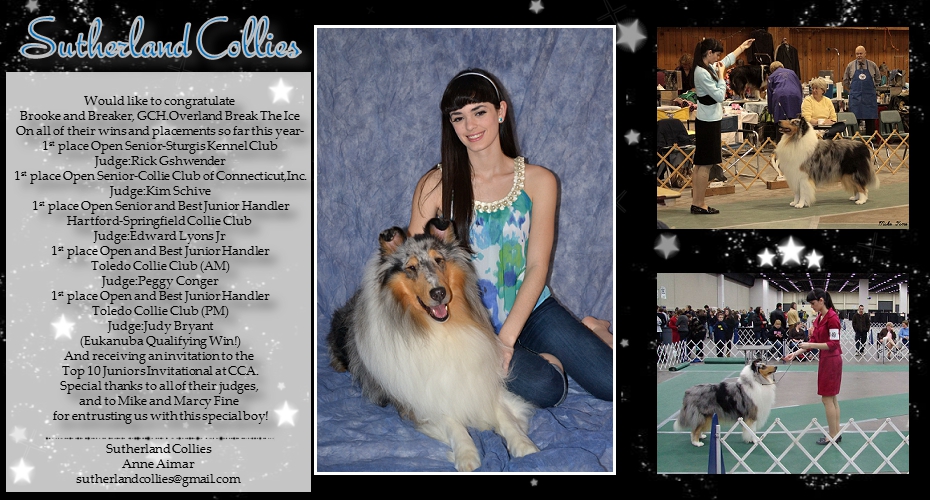 Sutherland Collies -- Brooke Aimar and GCH Overland Break The Ice