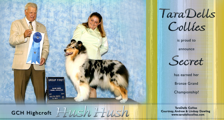 Tara Dells Collies -- Bronze GCH Highcroft Hush Hush