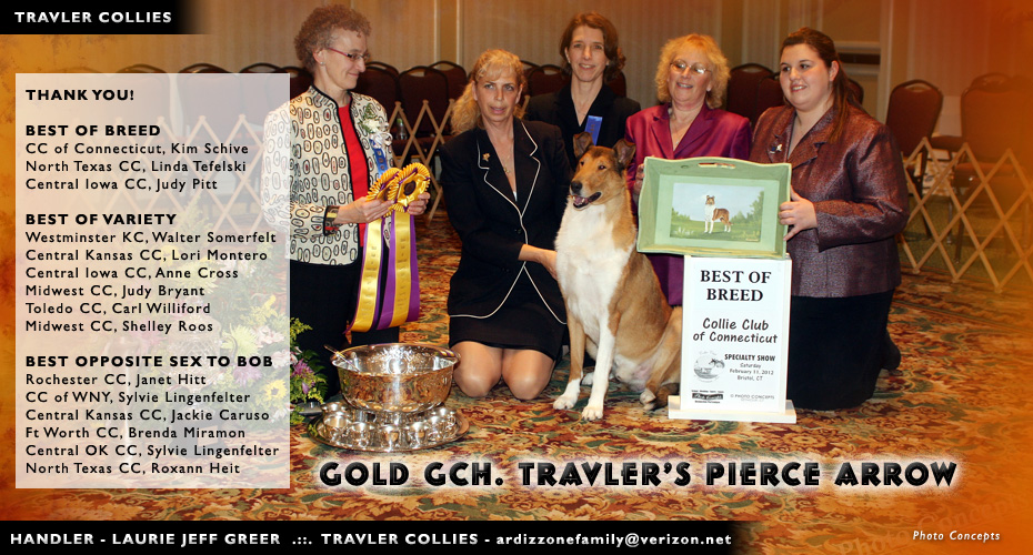 Travler Collies -- Gold GCH Travler's Pierce Arrow