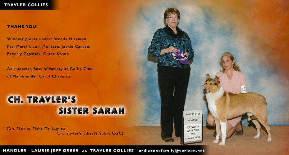 Travler Collies -- CH Travler's Sister Sarah