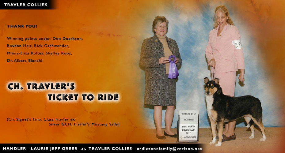Travler Collies -- CH Travler's Ticket To Ride