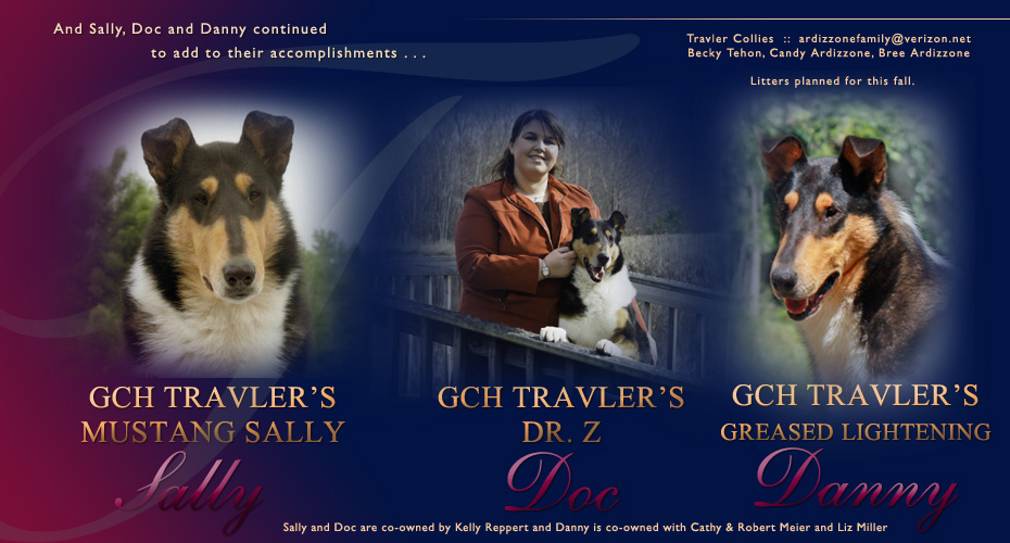 Travler Collies -- GCH Travler's Mustang Sally, GCH Travler's Dr. Z and GCH Travler's Greased Lightening