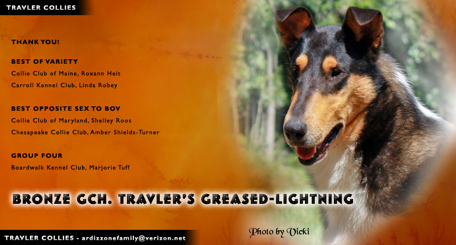 Travler Collies -- Bronze GCH Travler's Greased-Lightning