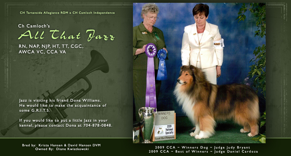 Wyndeswept Collies -- CH Camloch's All That Jazz