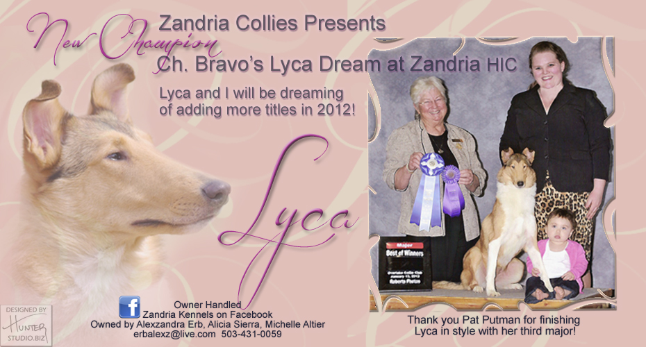 Zandria Collies -- CH Bravo's Lyca Dream At Zandria, HIC