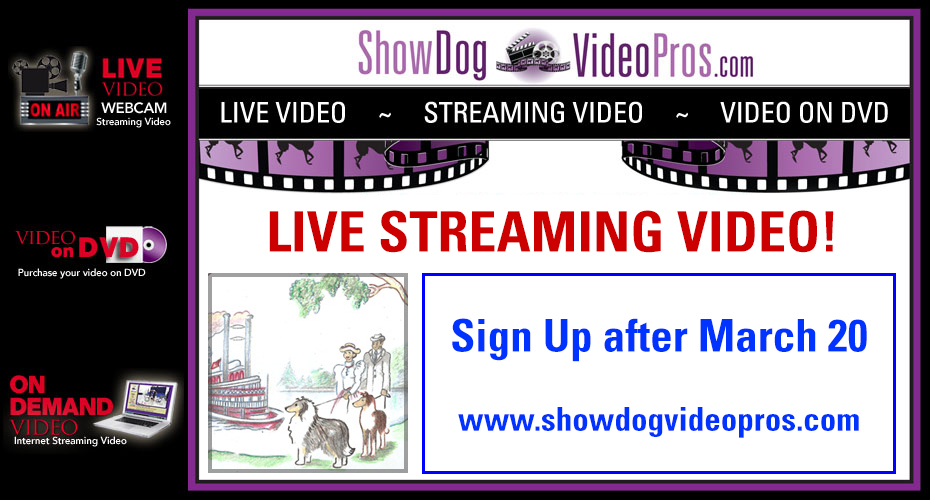 ShowDog VideoPros.com -- 2013  CCA Live Streaming Video