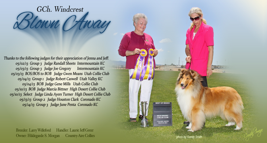 Country-Aire Collies -- GCH Windcrest Blown Away