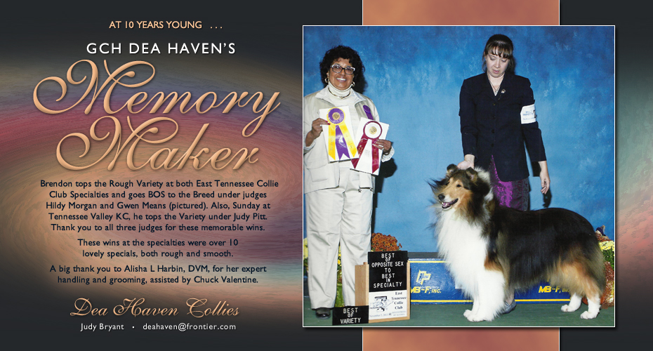 Dea Haven Collies -- GCH Dea Haven's Memory Maker