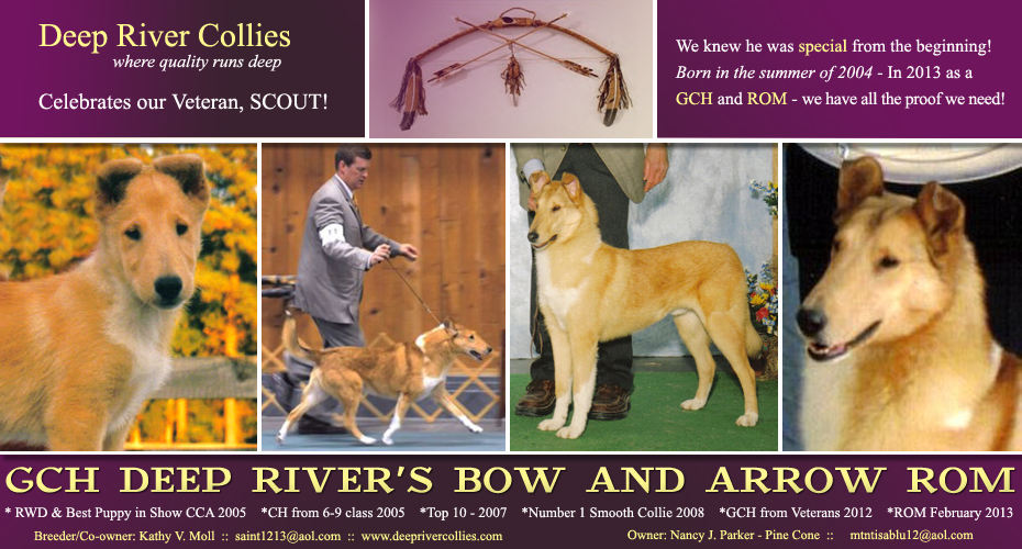 Deep River Collies / Pine Cone Collies -- GCH Deep River's Bow And Arrow ROM