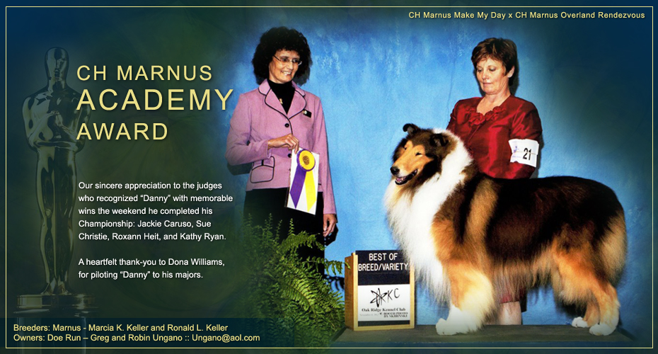 Doe Run Collies -- CH Marnus Academy Award