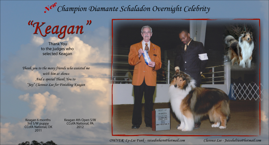 Ly-Lee Funk / Clarence Lee -- CH Diamante Schaladon Overnight Celebrity