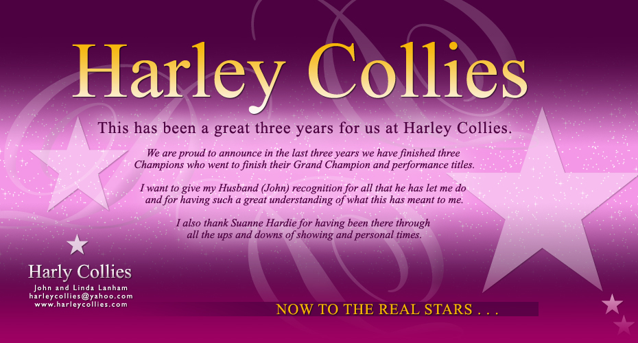 Harley Collies 