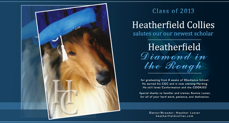 Heatherfield Collies -- Heatherfield Diamond In The Rough
