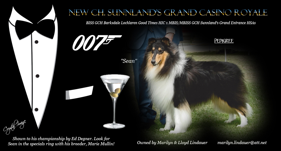 Sunnland Collies -- CH Sunnland's Grand Casino Royale