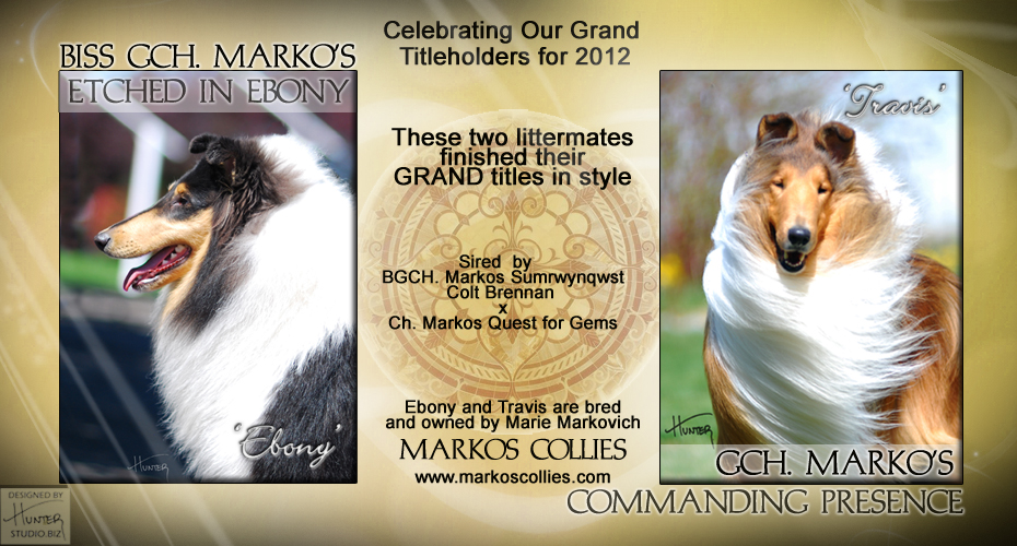 Markos Collies -- GCH Marko's Etched In Ebony and GCH Marko's Commanding Presence
