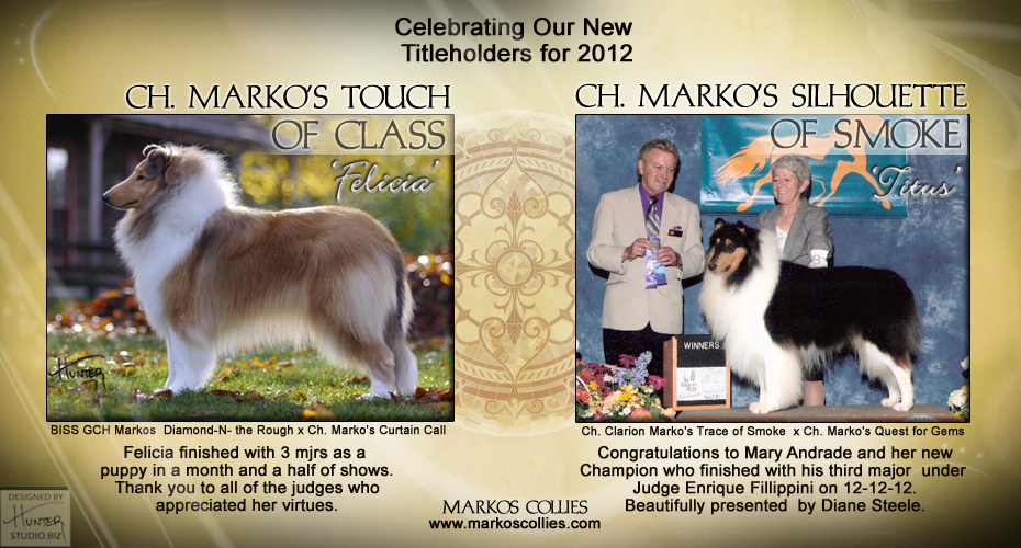 Markos Collies -- CH Marko's Touch Of Class and CH Marko's Silhouette Of Smoke
