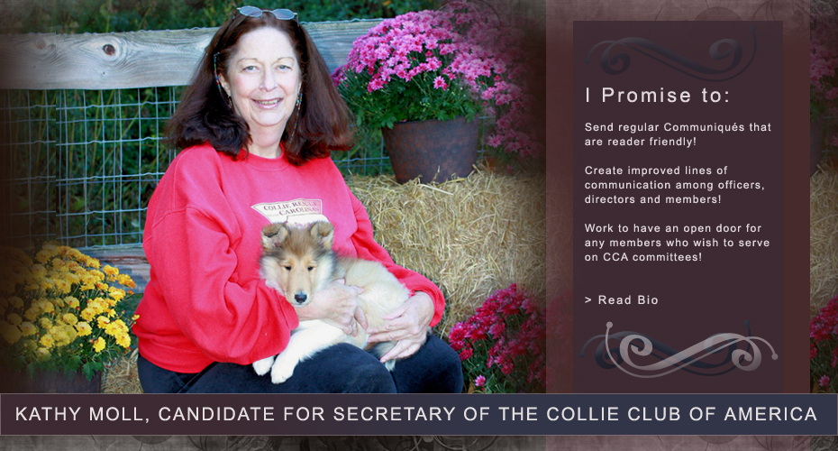 Kathy Moll -- Candidate for Secretary of the Collie Club Of America
