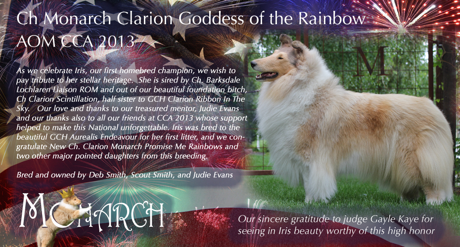 Monarch Collies -- CH Monarch Clarion Goddess Of The Rainbow