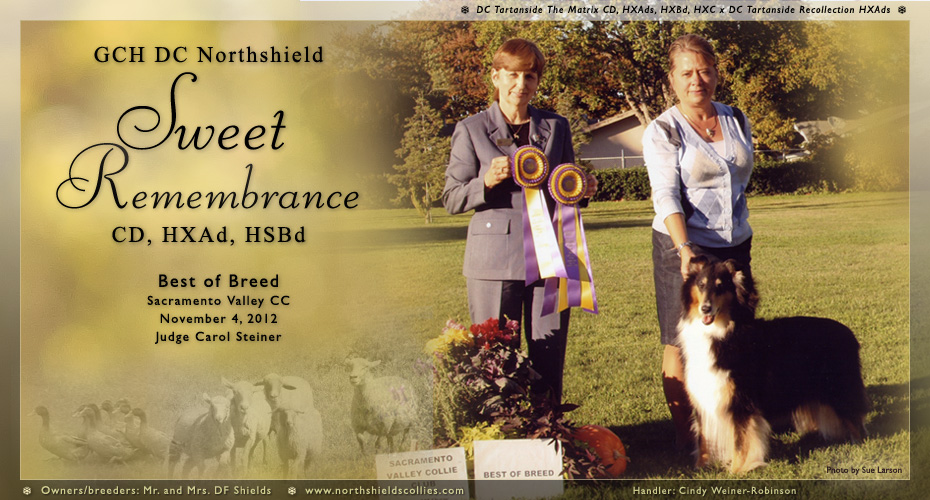 Northshield Collies --GCH  DC Northshield Sweet Remembrance CD, HXAd, HSBd