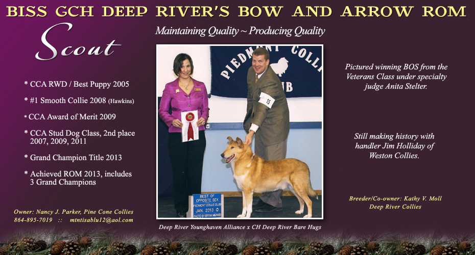 Pine Cone Collies / Deep River Collies -- GCH Deep River's Bow And Arrow ROM