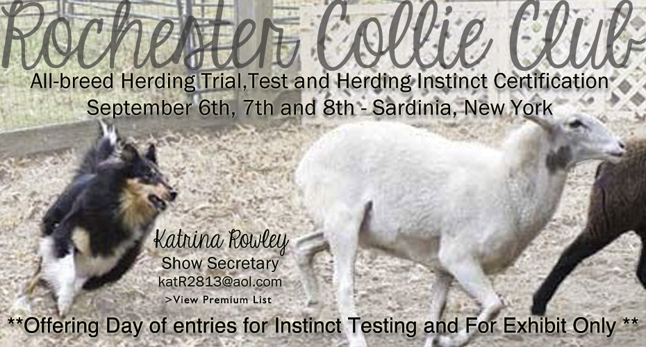 Rochester Collie Club -- 2013 All Breed Herding Trial