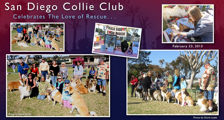 San Diego Collie Club -- Celebrates The Love of Rescue