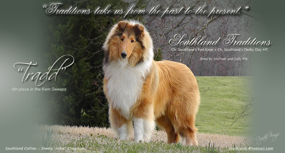 Southland Collies -- Southland Traditions