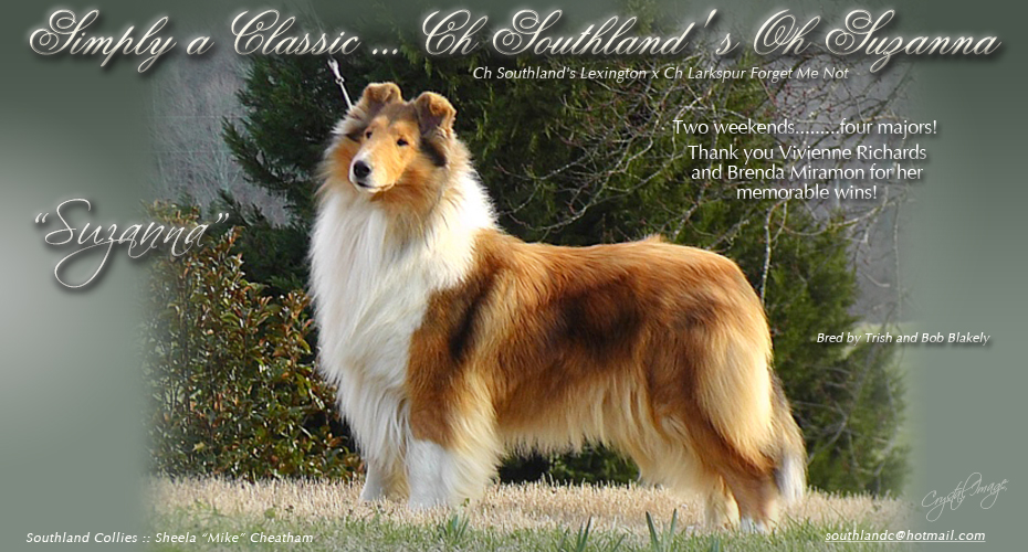 Southland Collies -- CH Southland's Oh Suzanna