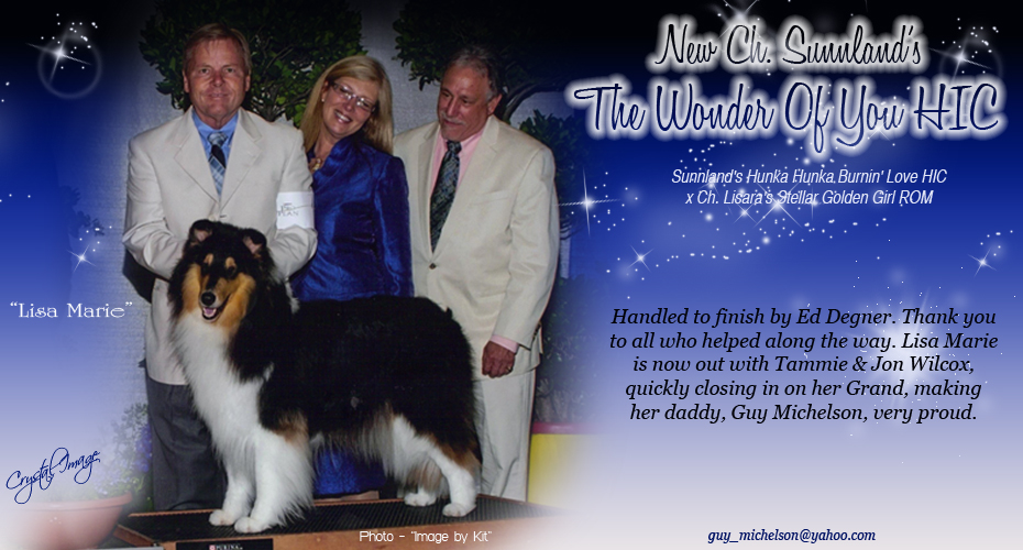 Sunnland Collies -- CH Sunnland's The Wonder Of You HIC