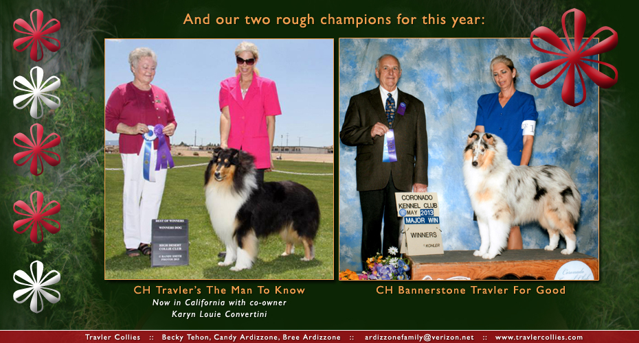 Travler Collies -- CH Travler's The Man To Know and CH Bannerstone Travler For Good
